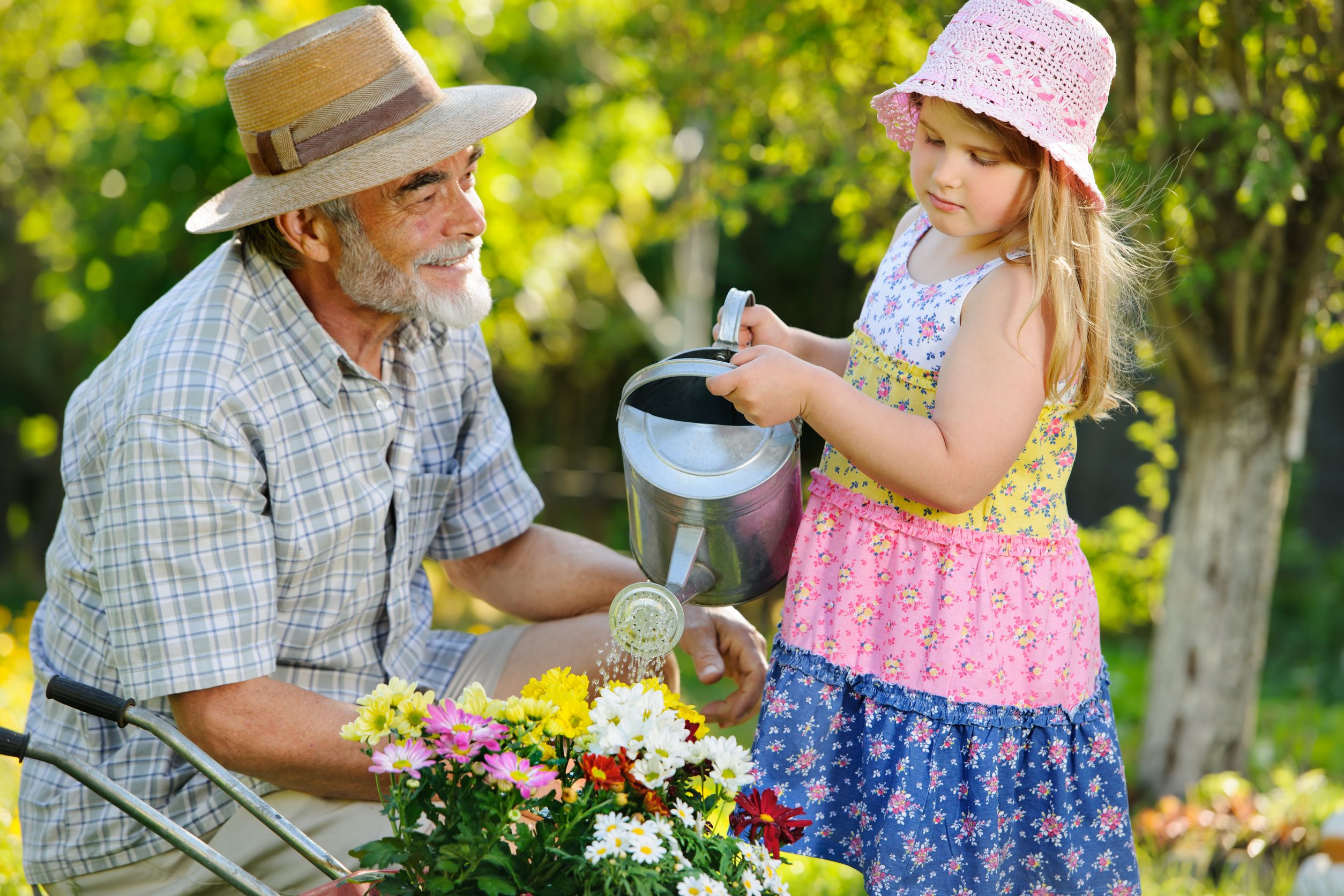 Дедушка помогает внучке. Дедушка с внучкой в саду. Дед сад. Бабушка и внучка в саду. Бабушка с внуком в саду.